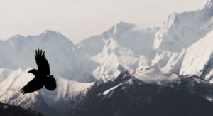 Data Traps: Breaking Free