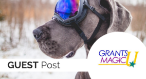 Put On Your Magic Grantmaker Goggles… and Let’s Look at Proposal Budgets!