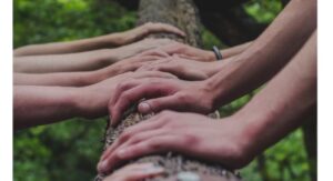 Community Rooted in Philanthropy: Compass Community Story Part 1