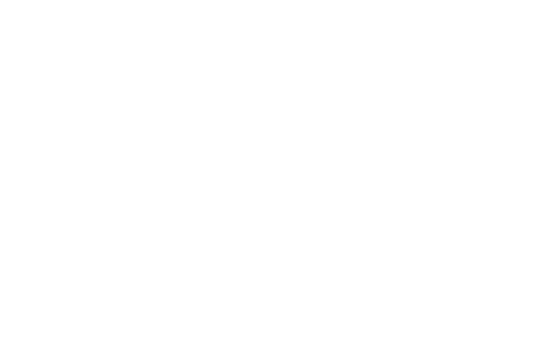 Merz logo