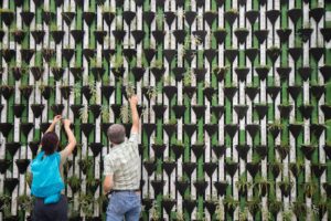 How Dollars For Doers Can Be The Best Employee Giving Program For Your Company