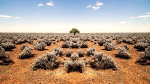Why You Should Measure Philanthropic Impact & Outcomes
