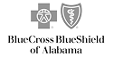 blue cross blue shield of alabama